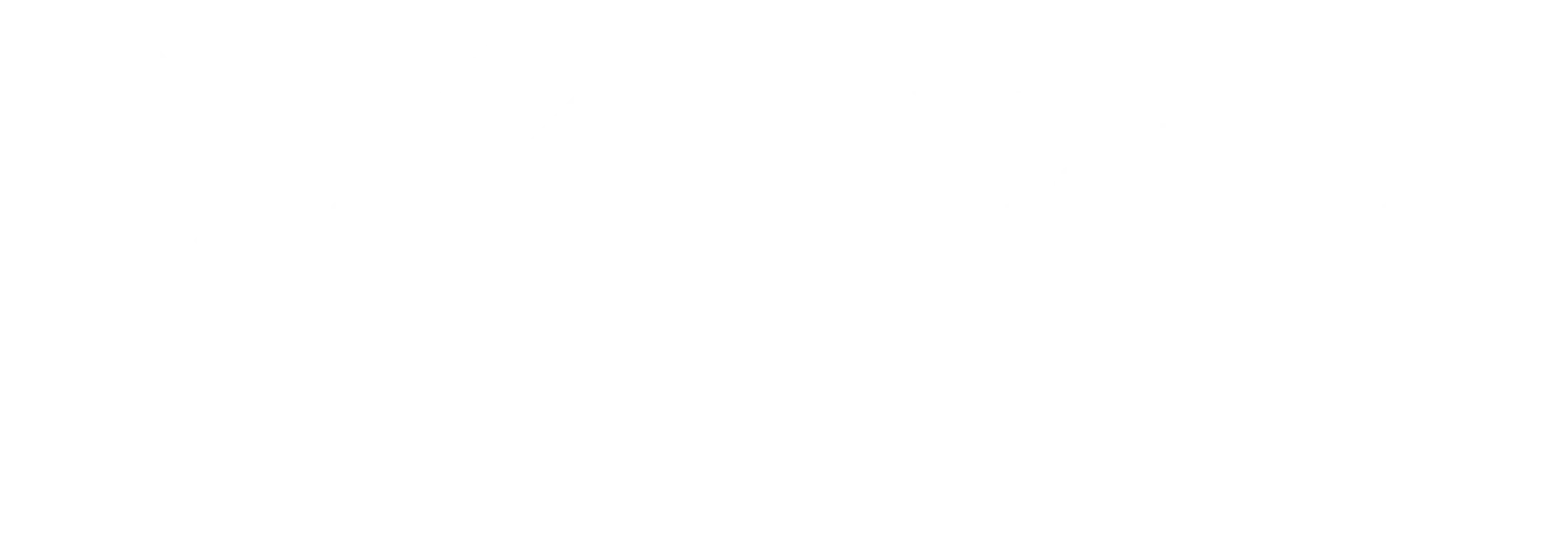 Dr Marcelo Menezes
